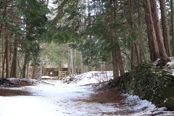 suwataisya-shrine kamisya maemiya