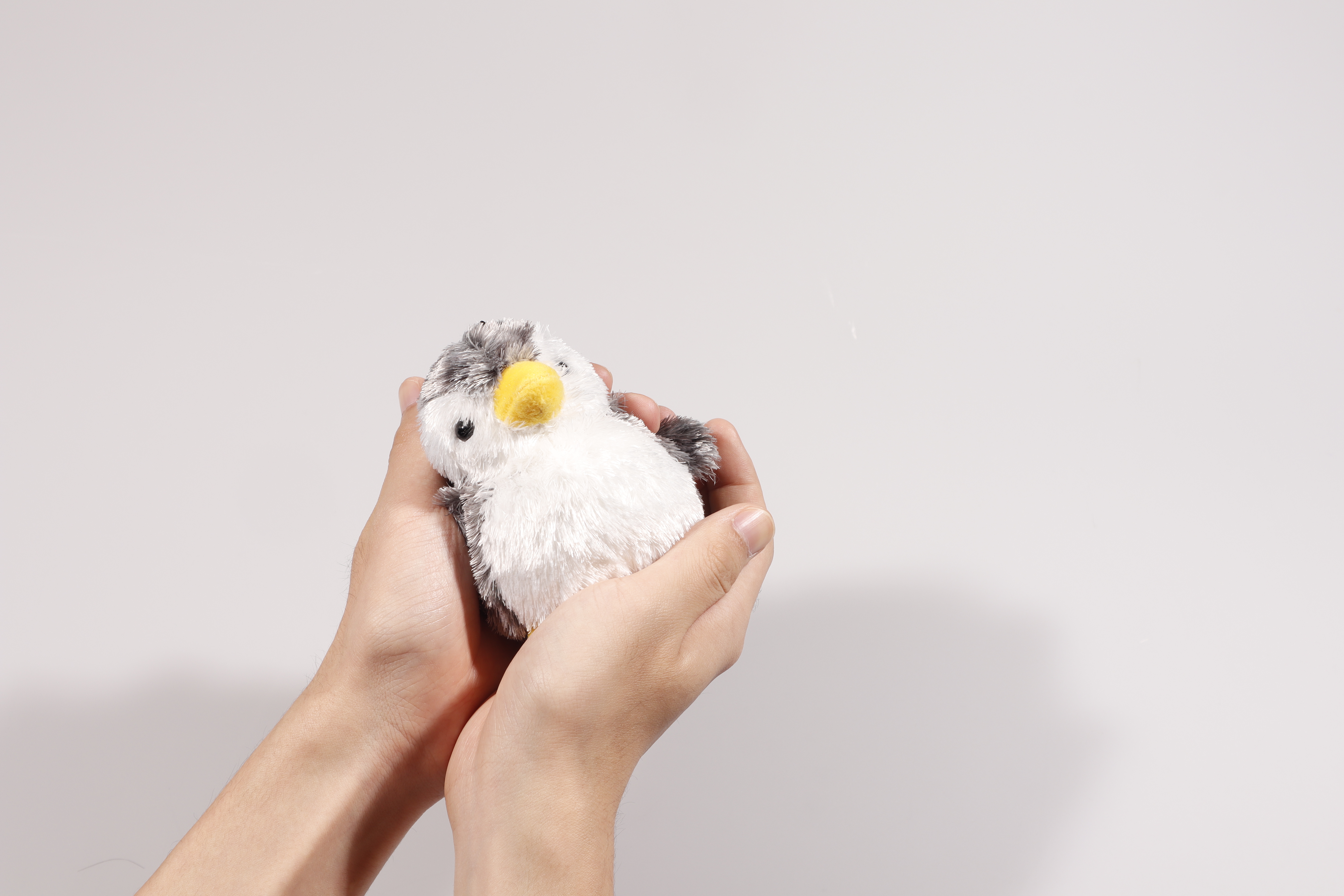 ペンギンSの手触り写真